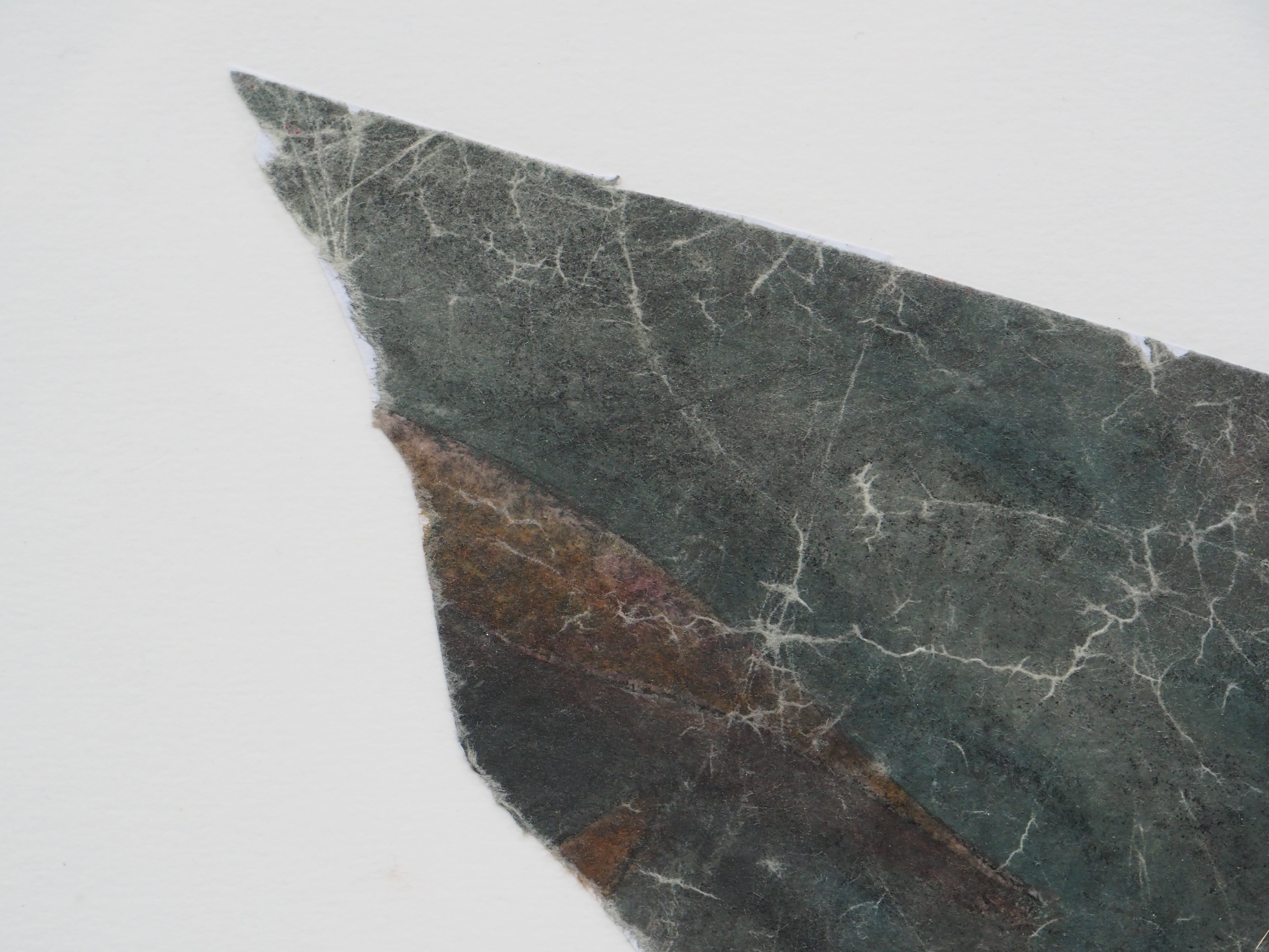 Bird IV - Marie-Laurence Lamy