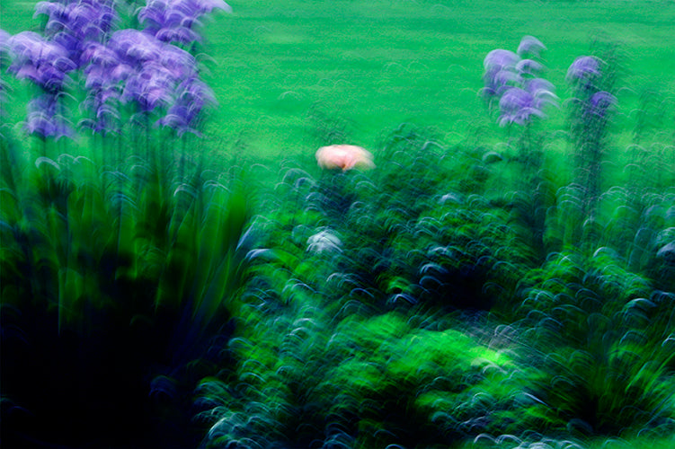 Série « Comme une peinture » #2 - Sophie Tolachides