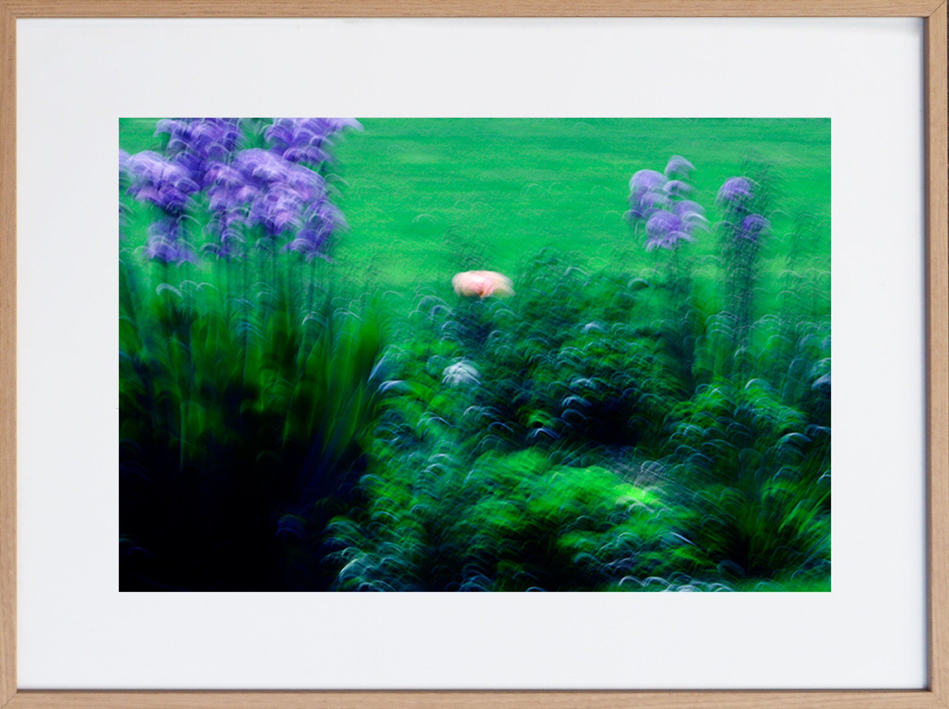 Série « Comme une peinture » #2 - Sophie Tolachides