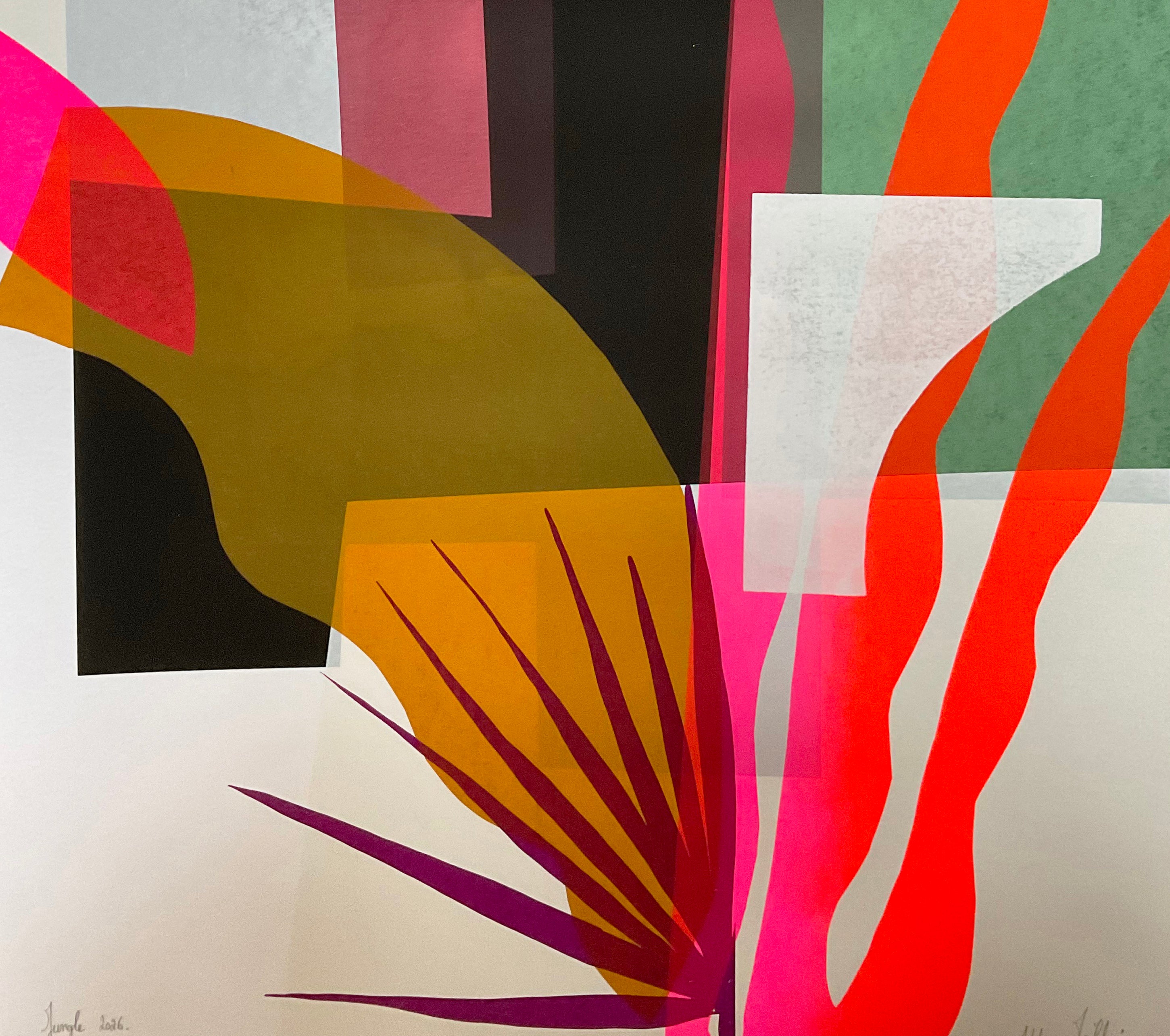 Jungle 2026 - Adeline Meilliez