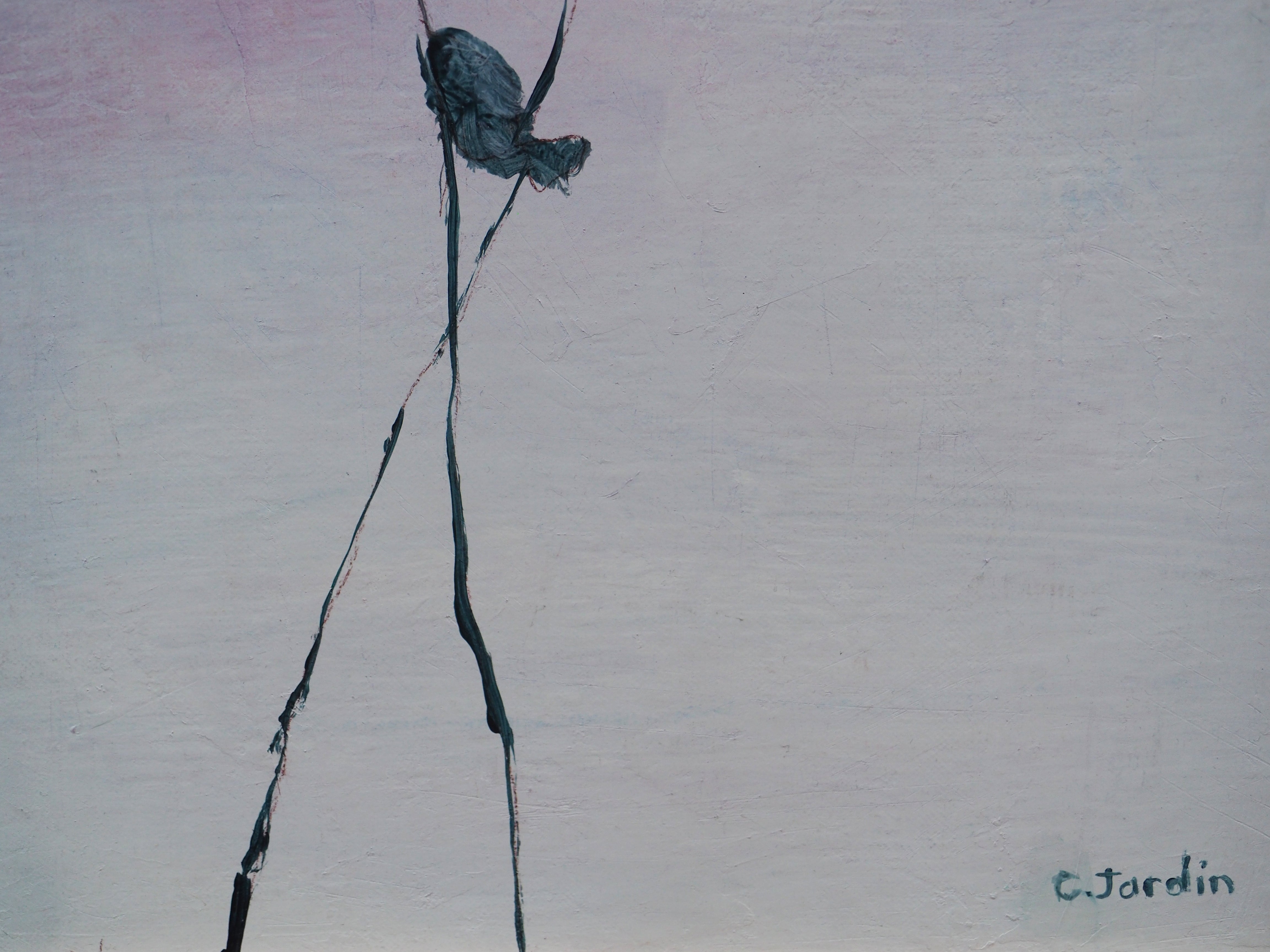 In flight - Caroline Jardin