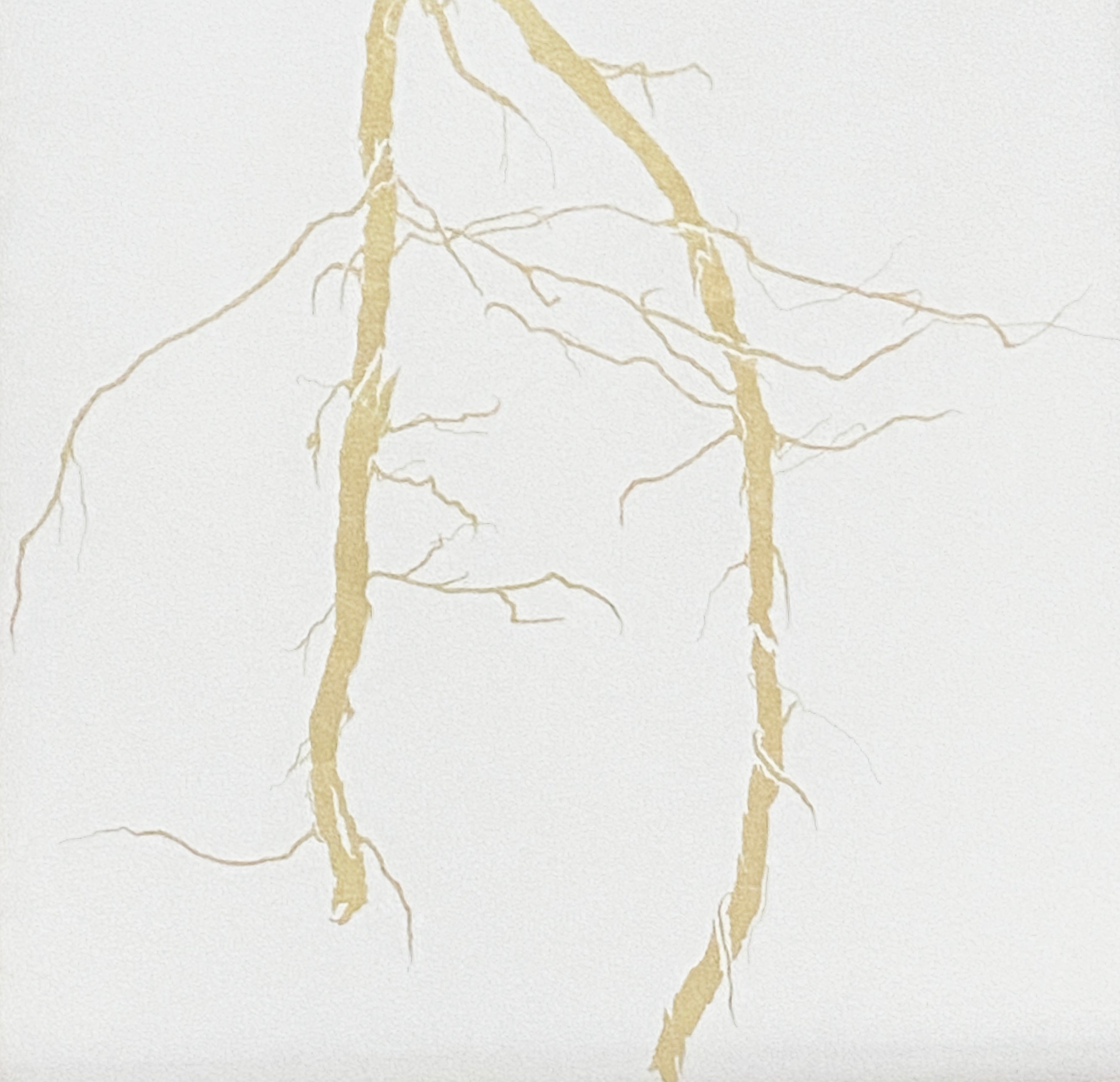 En suspension - Aurore Lahoud Davezac