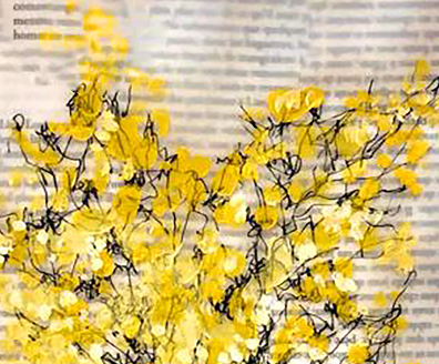 Mimosant Mimosa II - Caroline Jardin