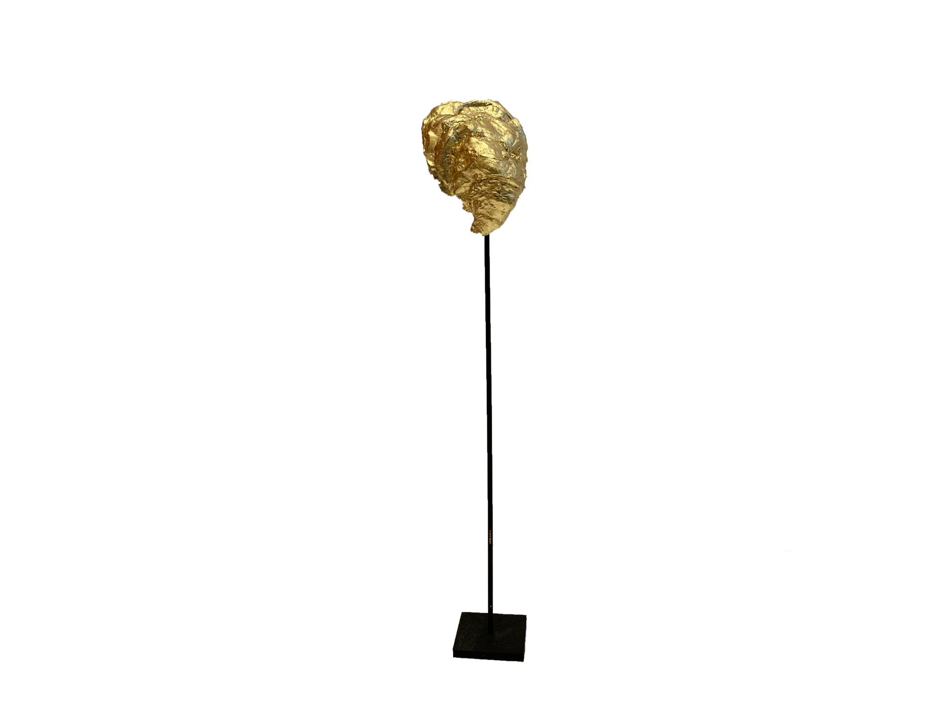 Oyster 01 - Aurore Lahoud Davezac