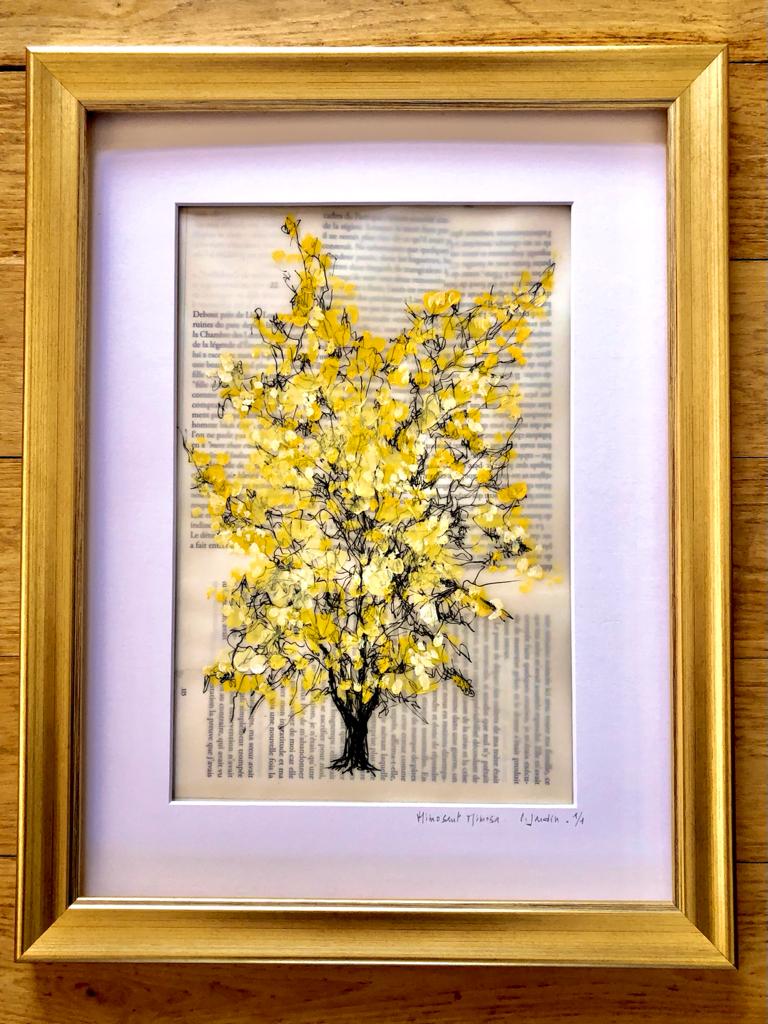 Mimosant Mimosa II - Caroline Jardin