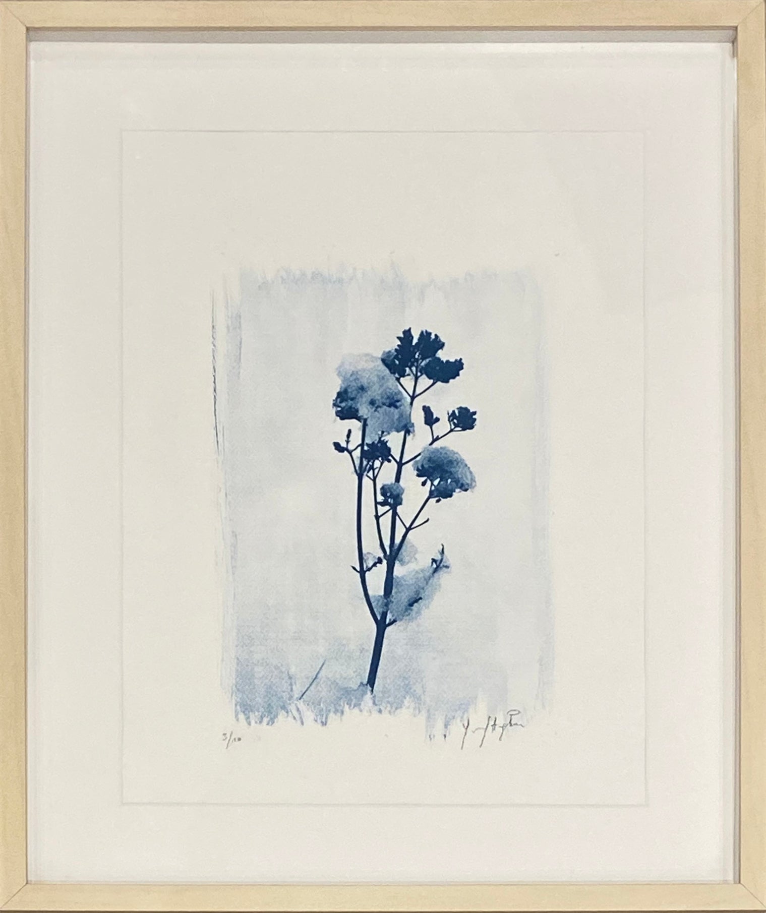 Snow on Flower - Youssef Amghar