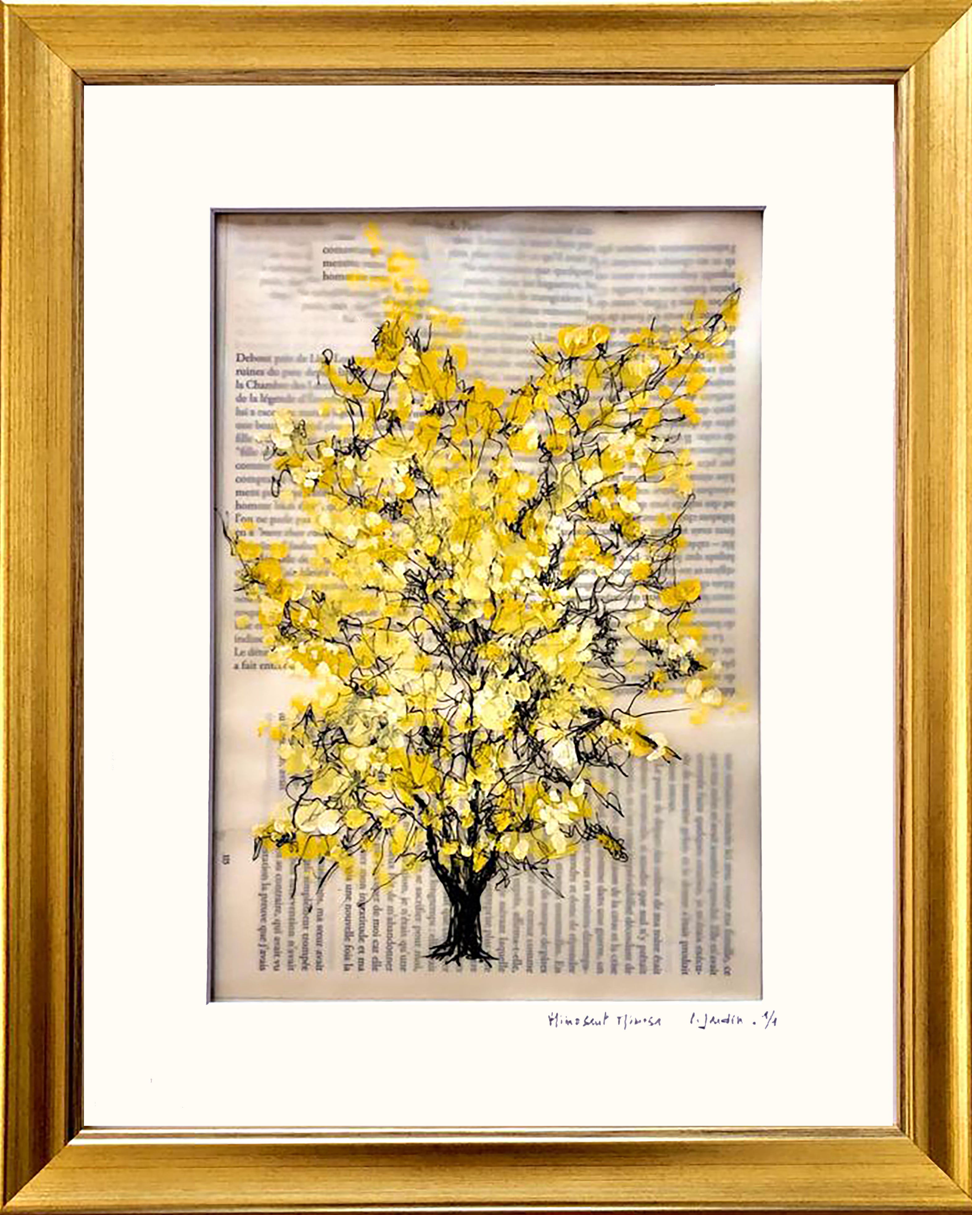 Mimosant Mimosa II - Caroline Jardin