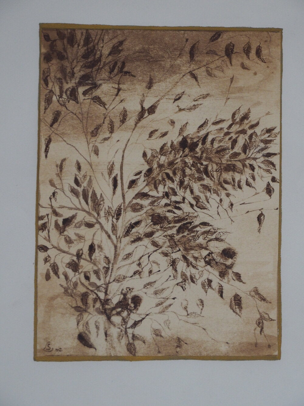 Foliage - Steve Lecler