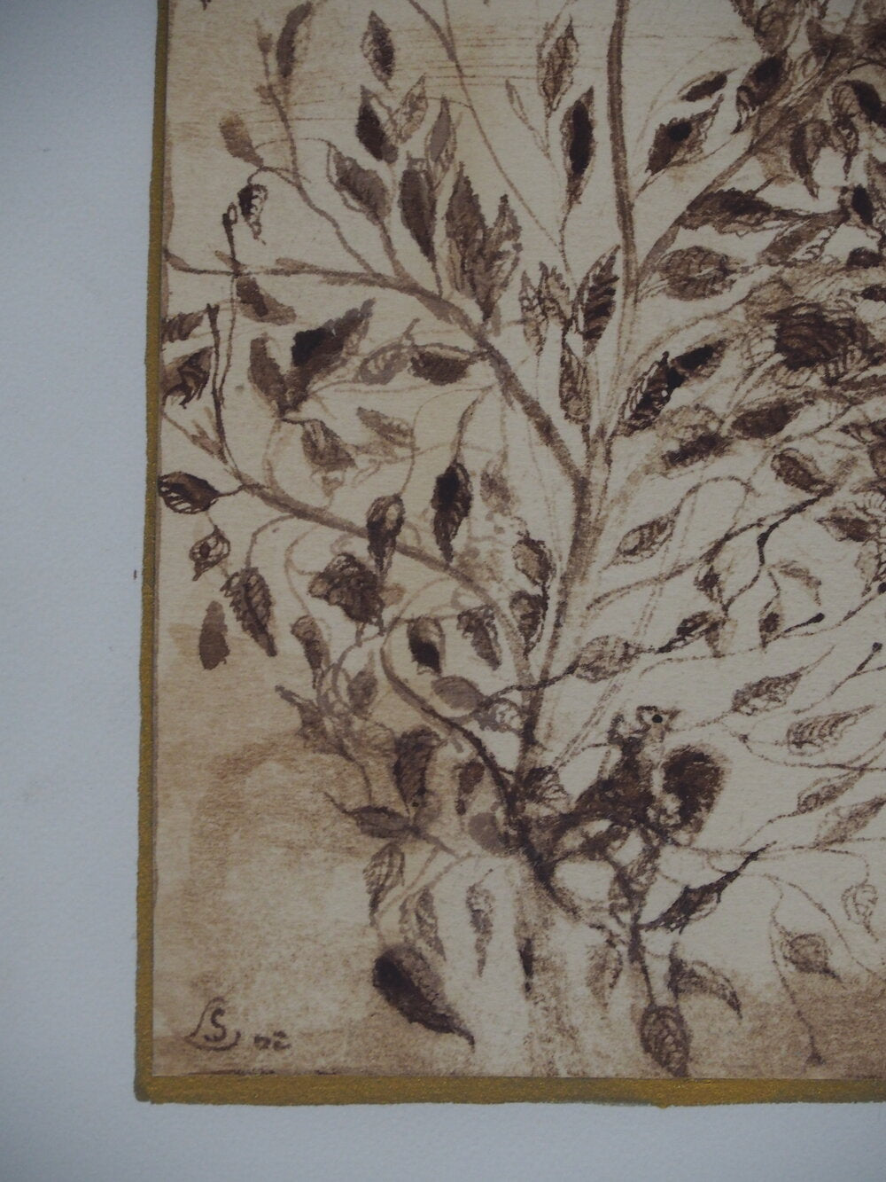 Foliage - Steve Lecler