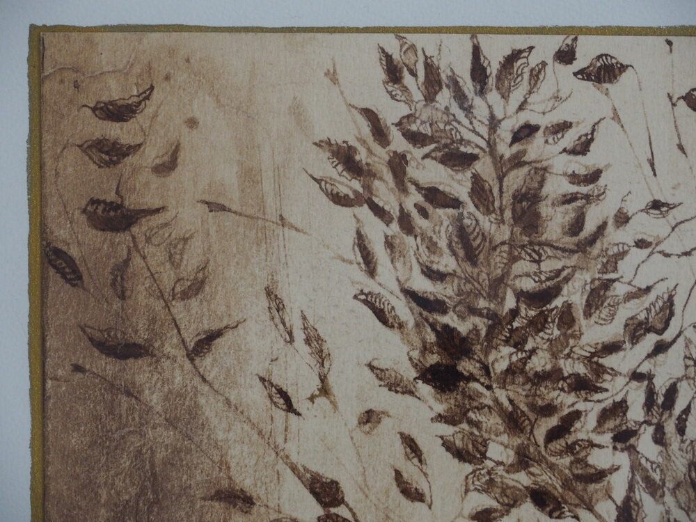 Foliage - Steve Lecler