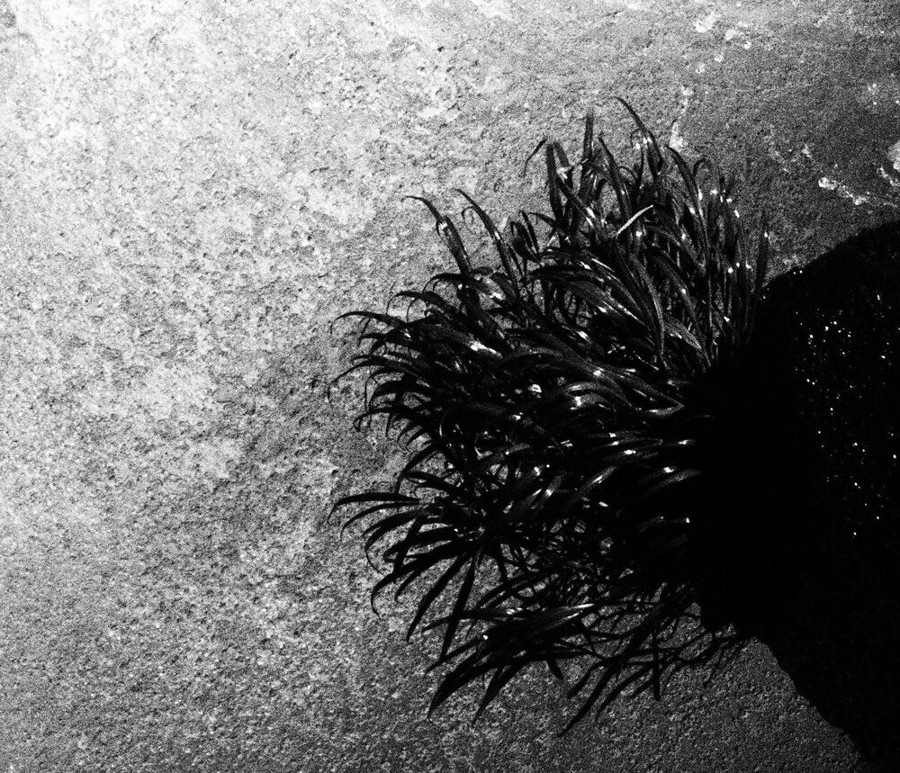Breaths - Esther