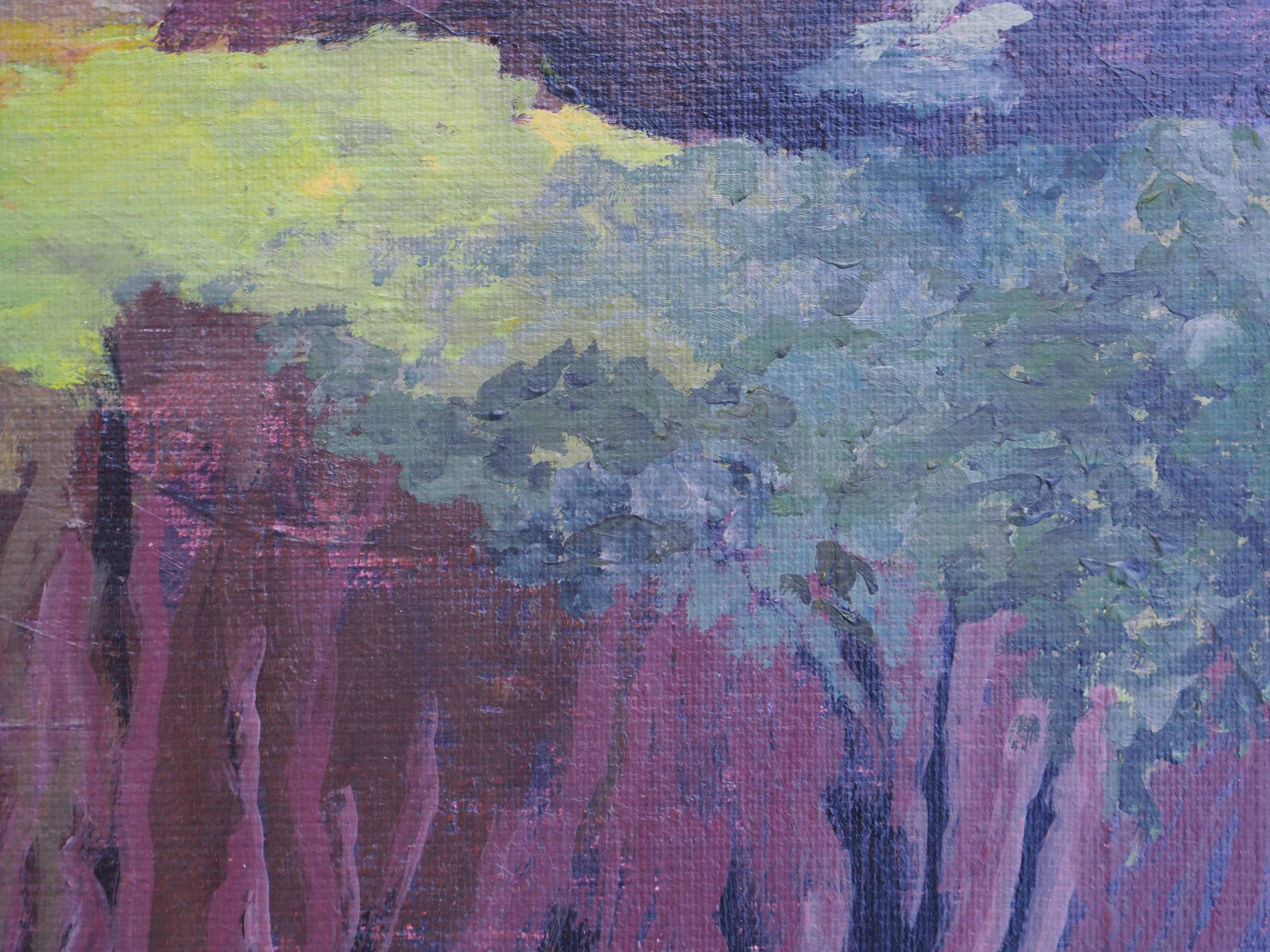 Zugarramurdi - Caroline Garden