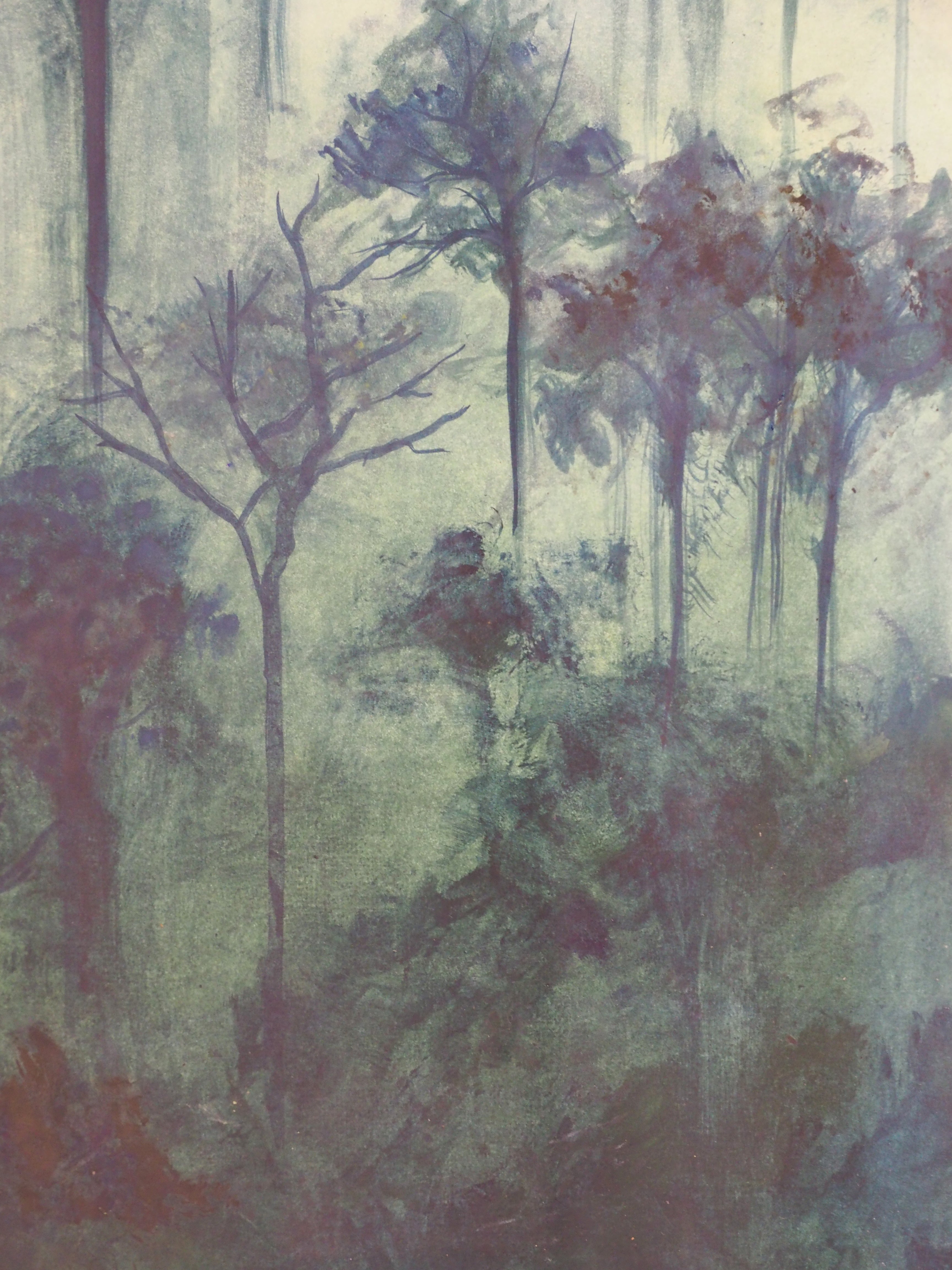 Amazone - Florence Penicaud - triptyque forêt
