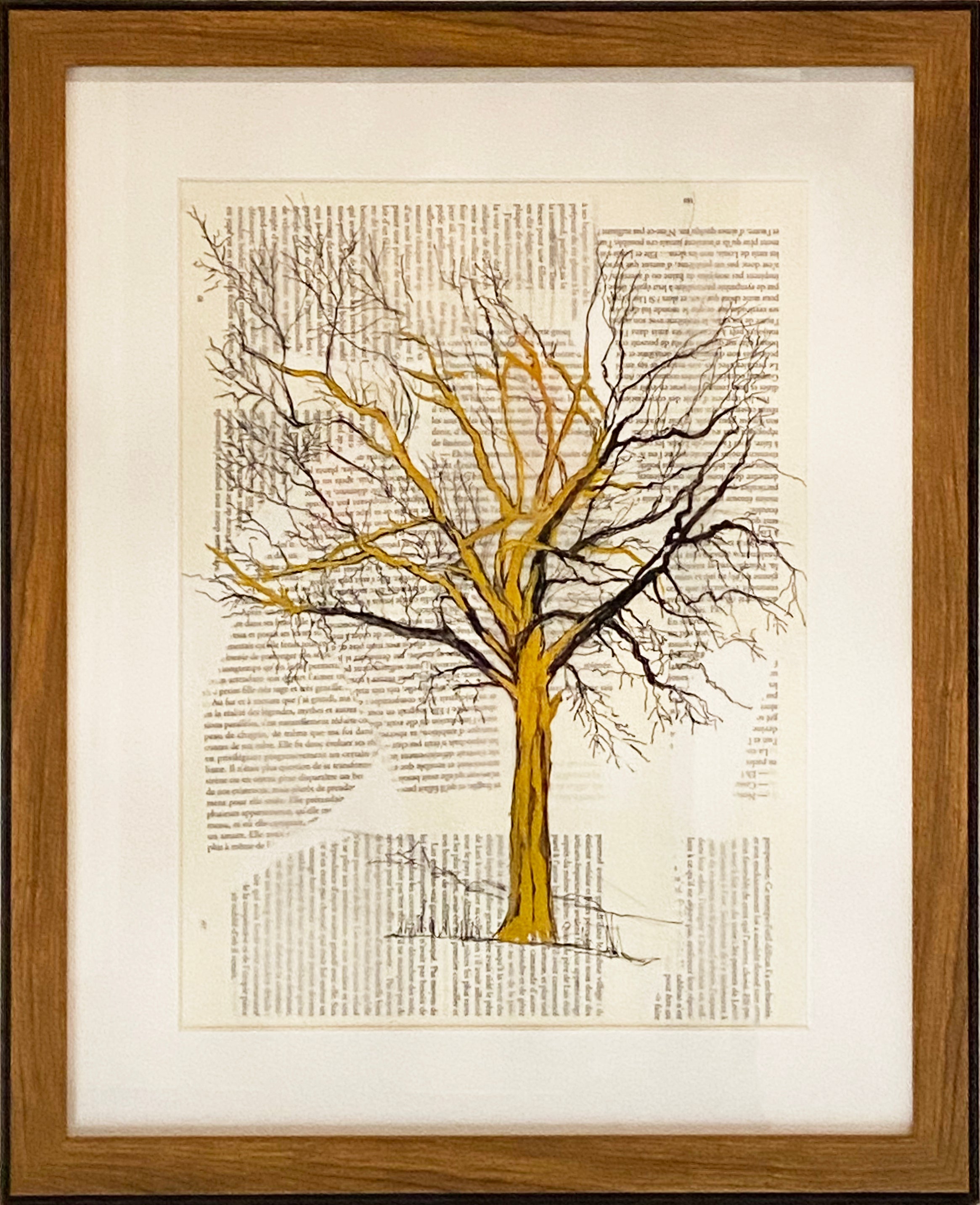 Caroline Jardin - Limousin Tree I