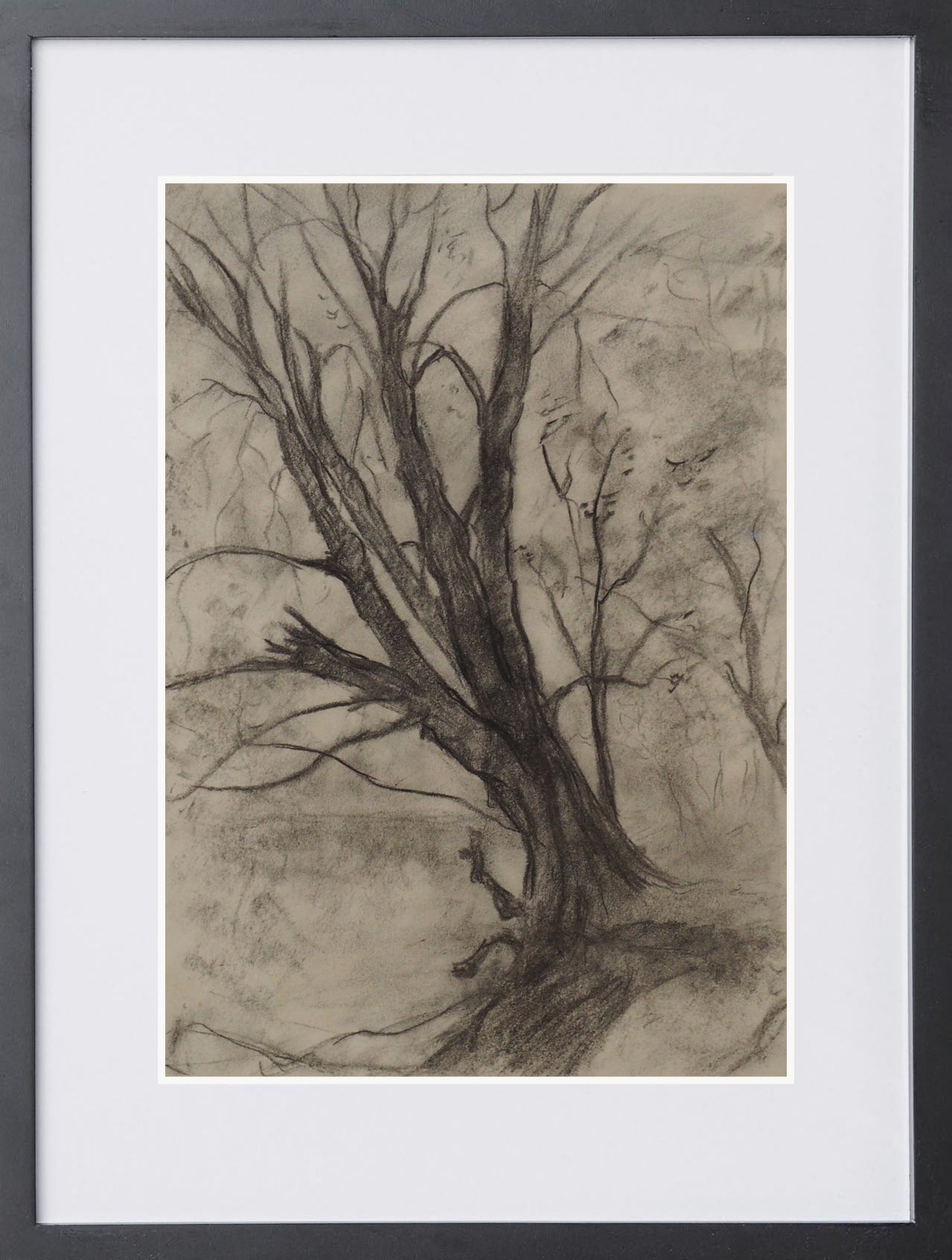 L'arbre - Steve Lecler