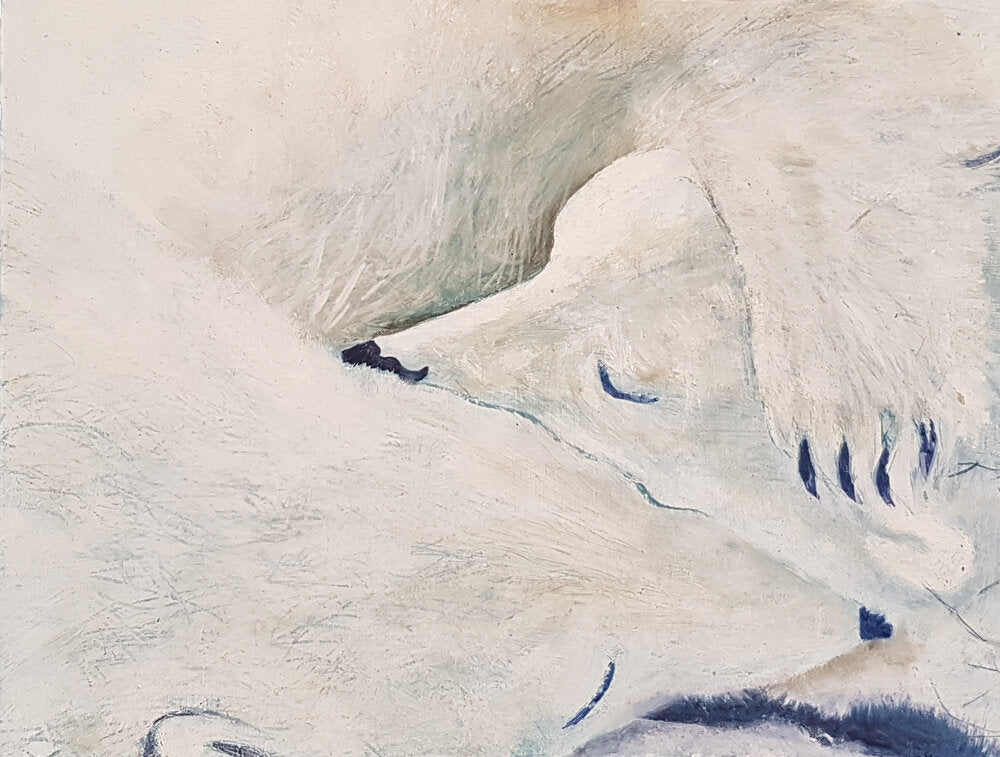 Comfort - Florence Penicaud