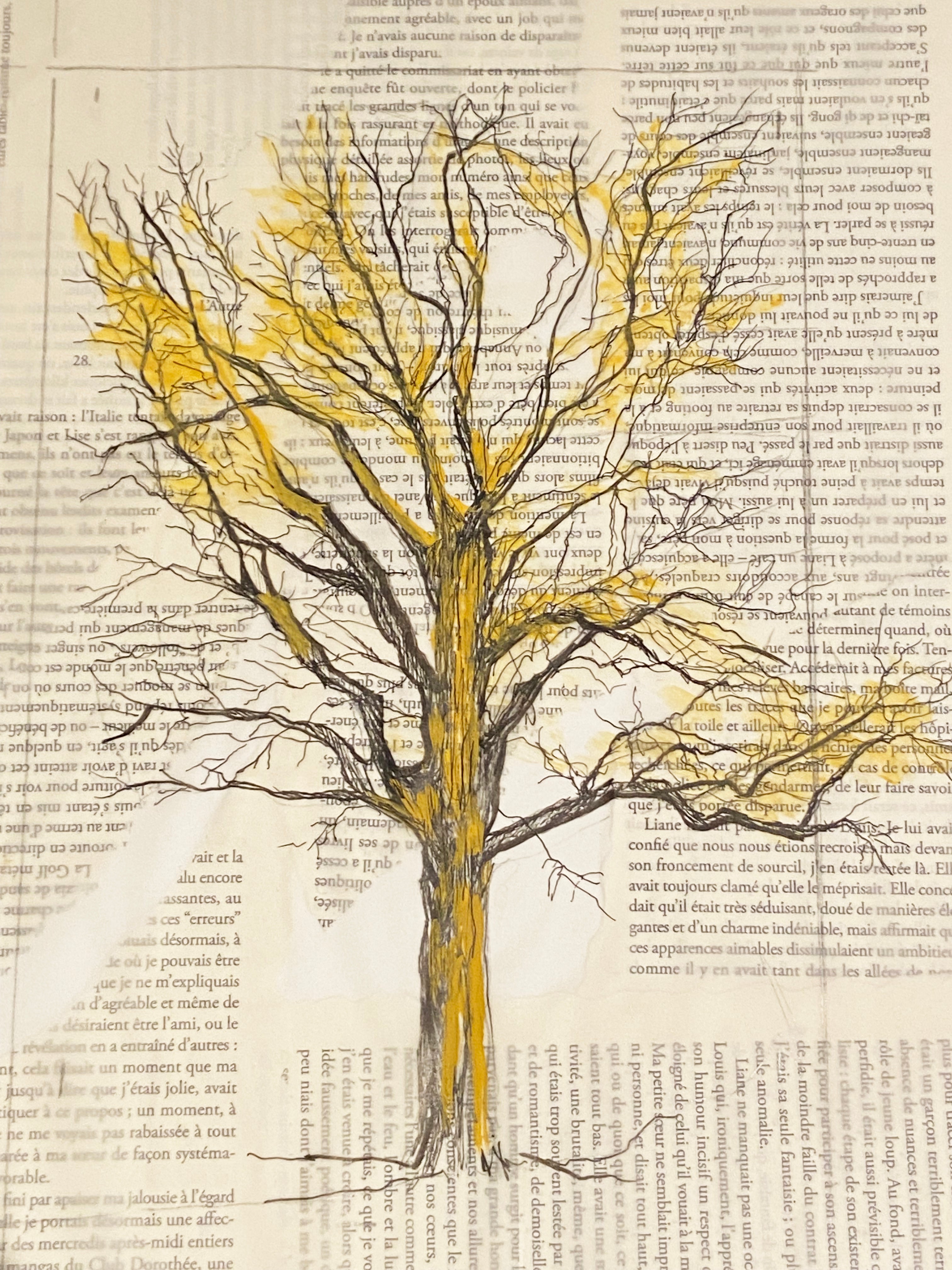 Caroline Jardin - Arbre Limousin II