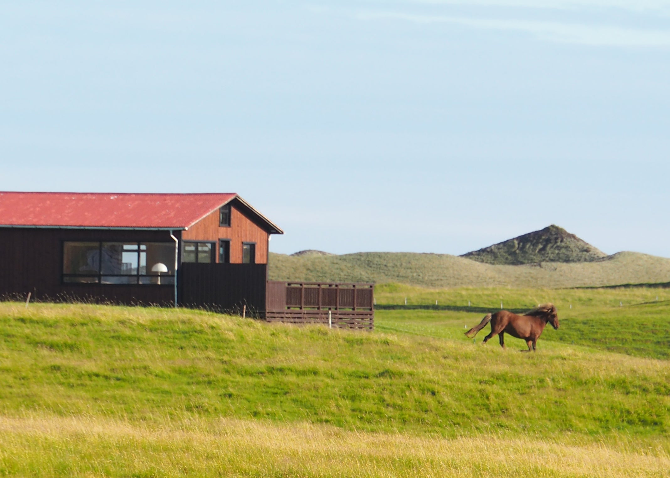 Galloping in Jökulsarlon - Esther