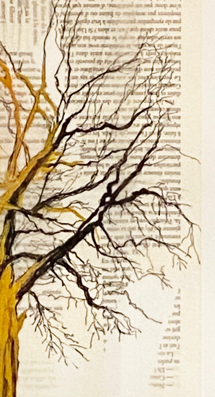 Caroline Jardin - Limousin Tree I