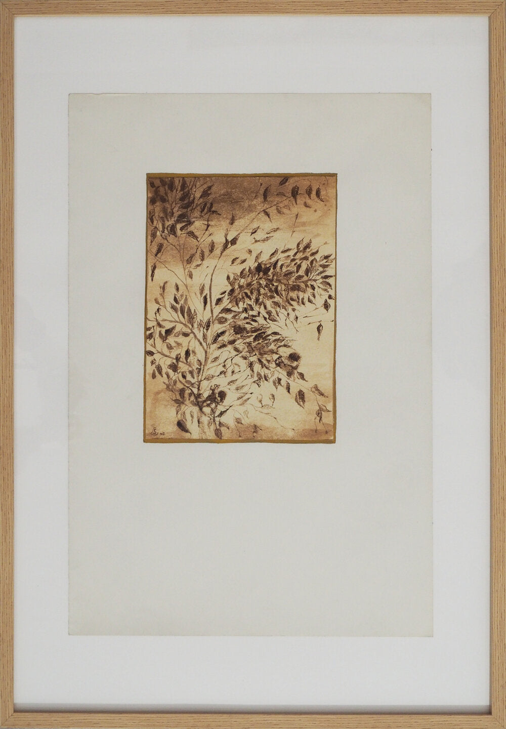 Foliage - Steve Lecler