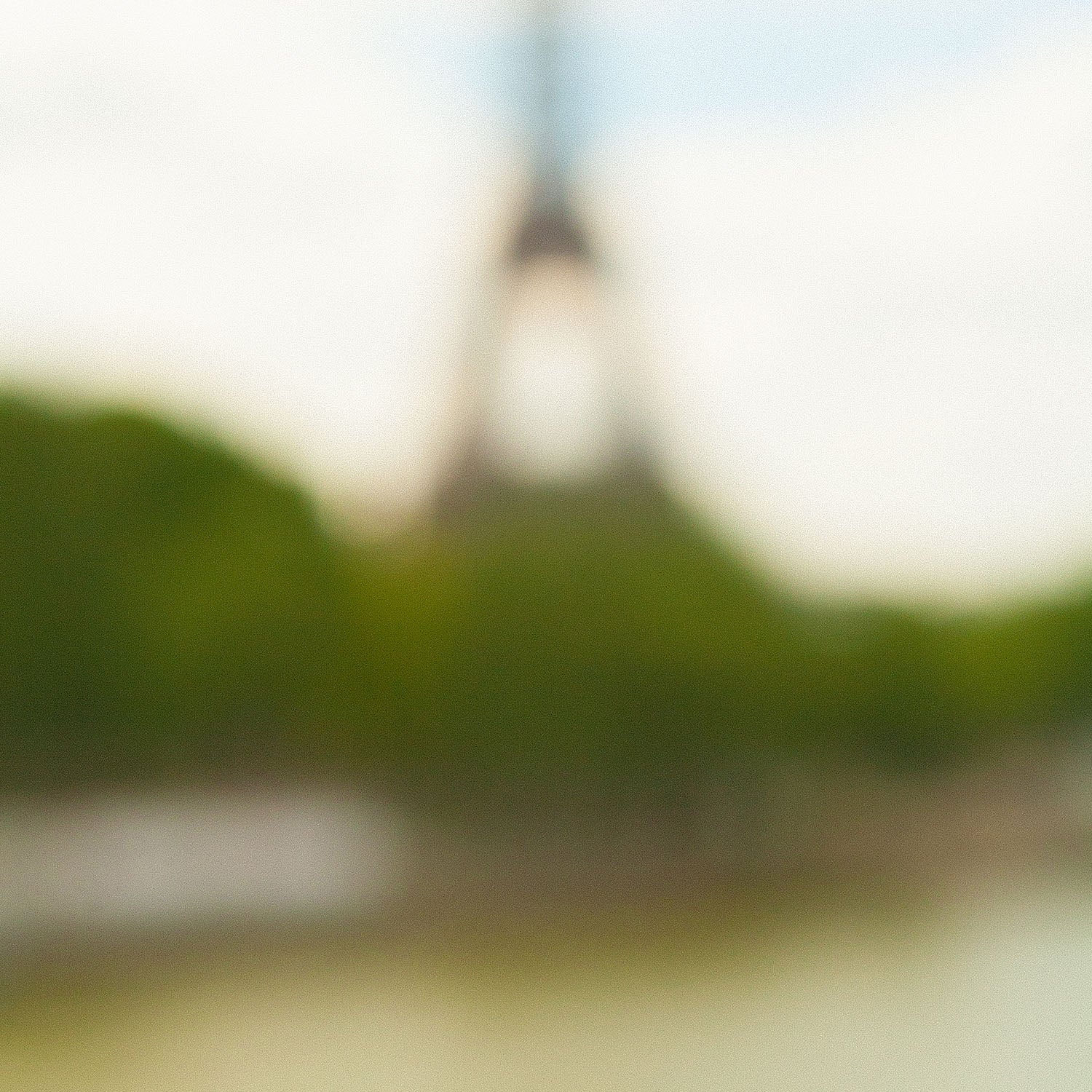 Myopie XV- Francesco Vinci