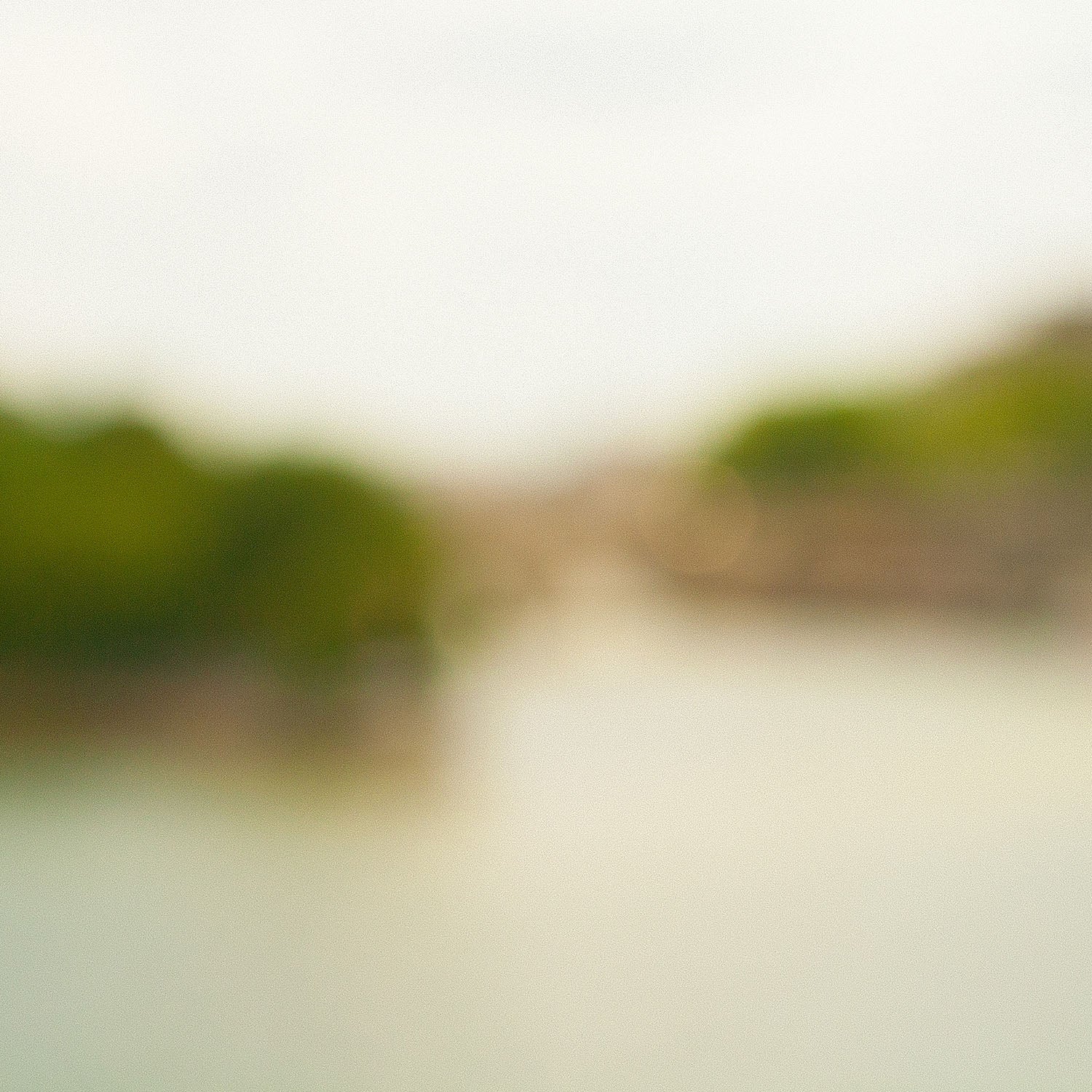 Myopie XXII- Francesco Vinci