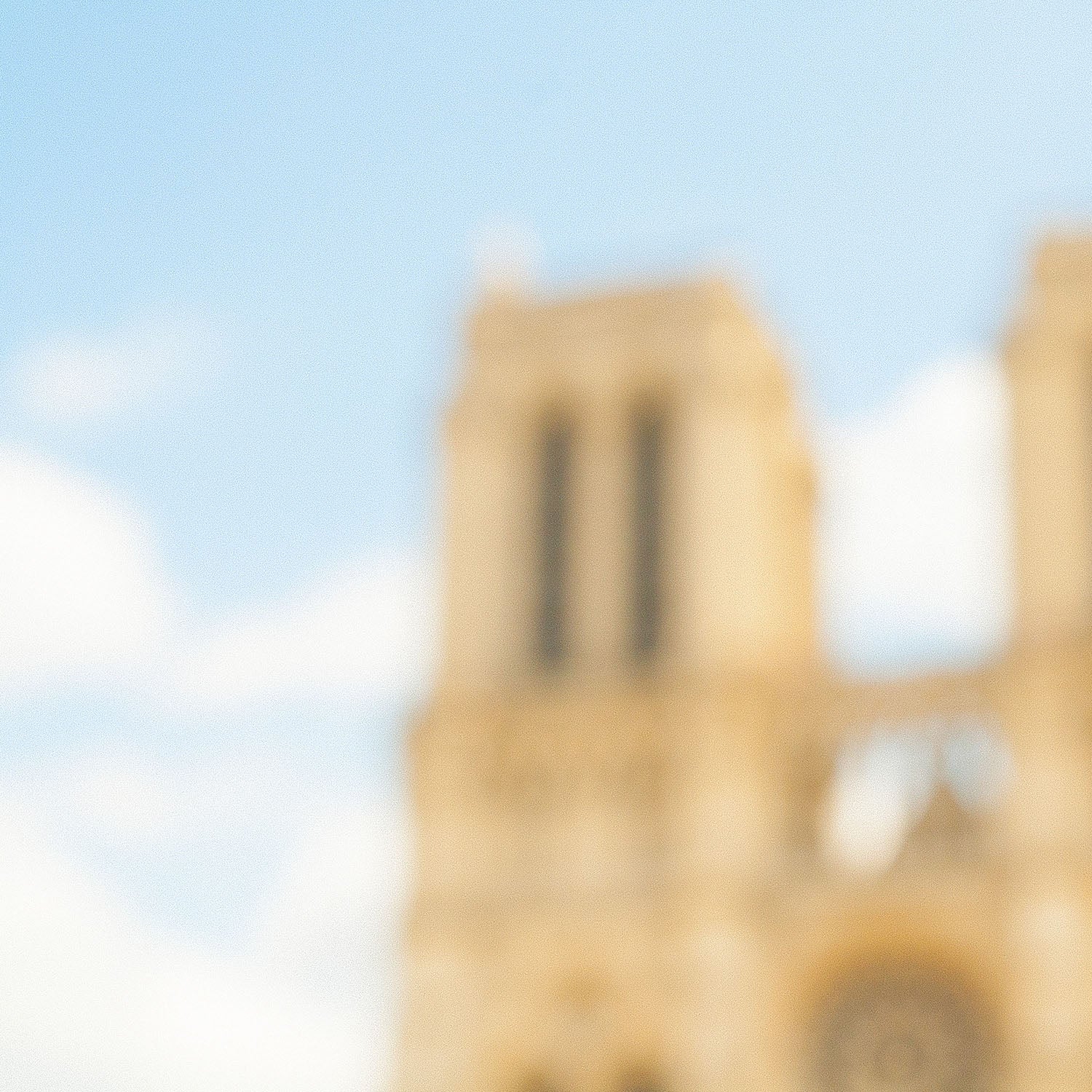 Myopie XXIII- Francesco Vinci