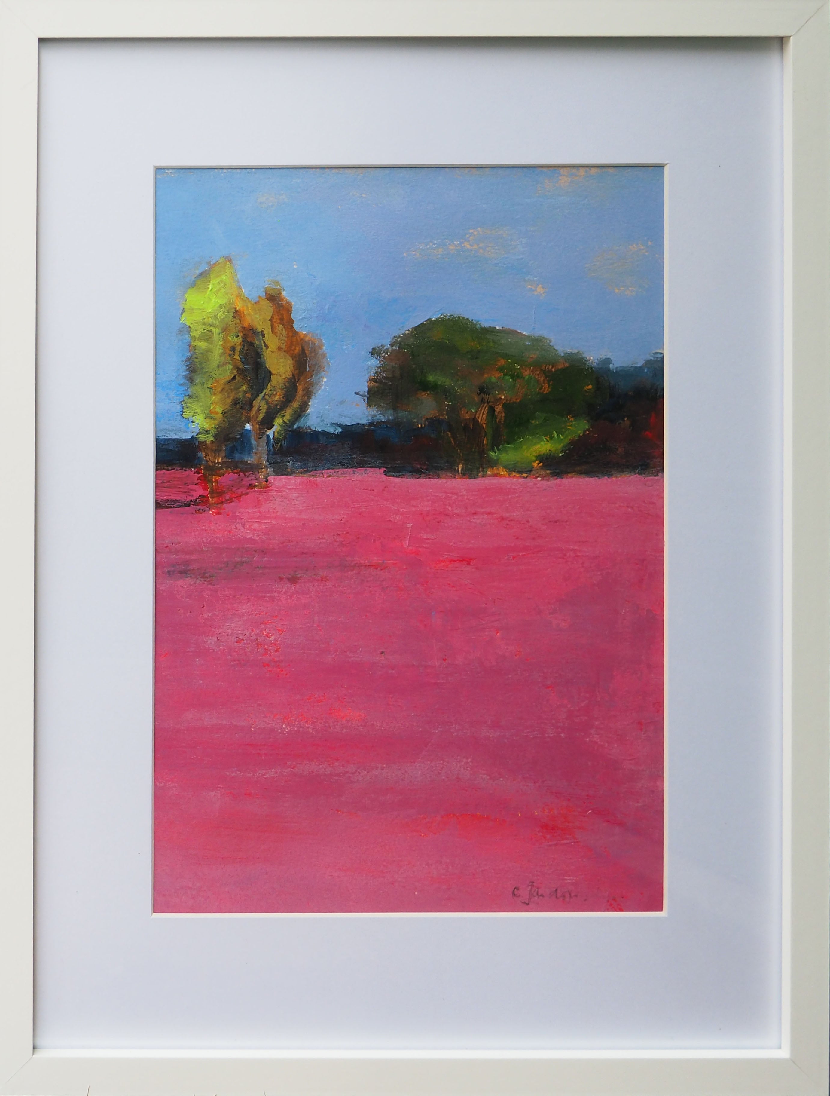 Jardin Rose 2 - Caroline Jardin