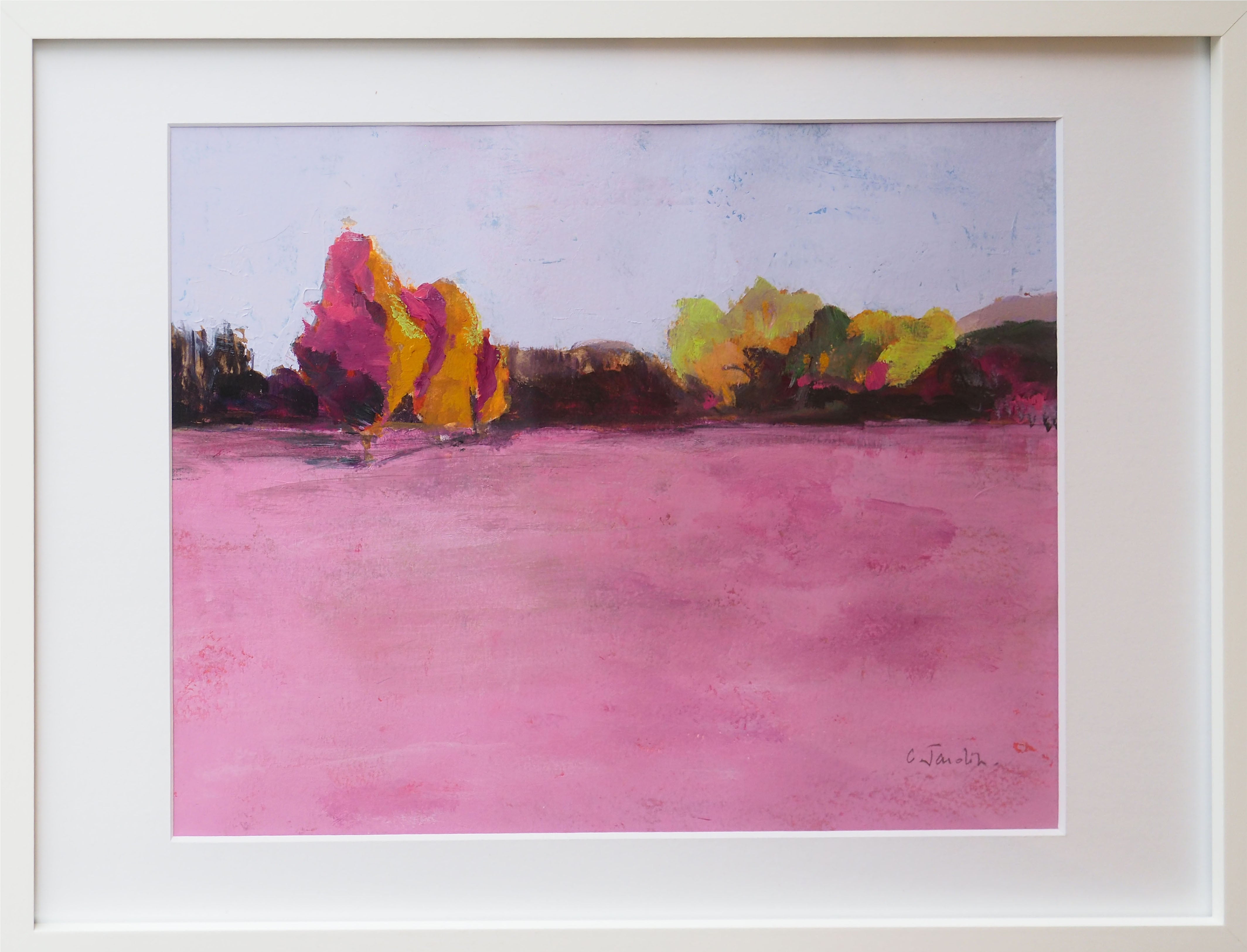 Jardin Rose 1 - Caroline Jardin