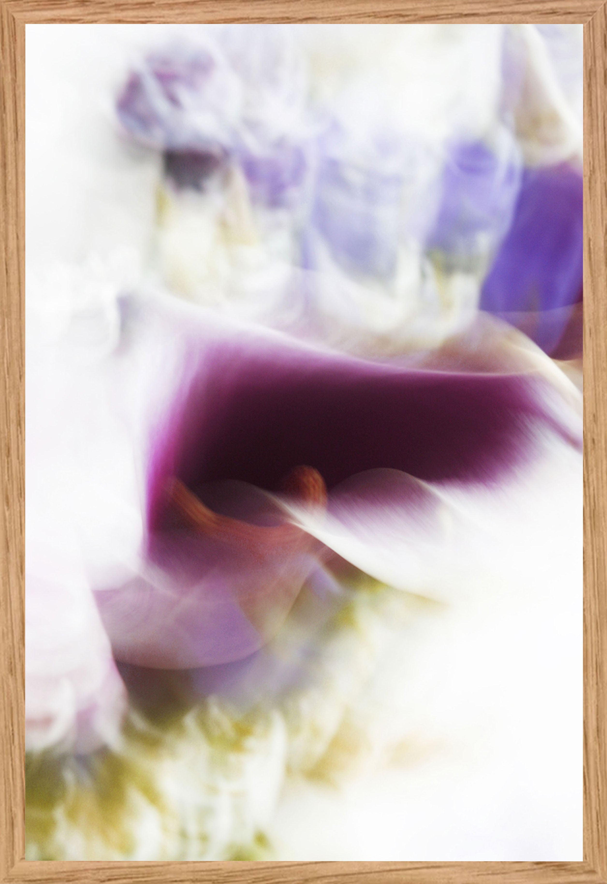 Série « Flower » #1 - Sophie Tolachides