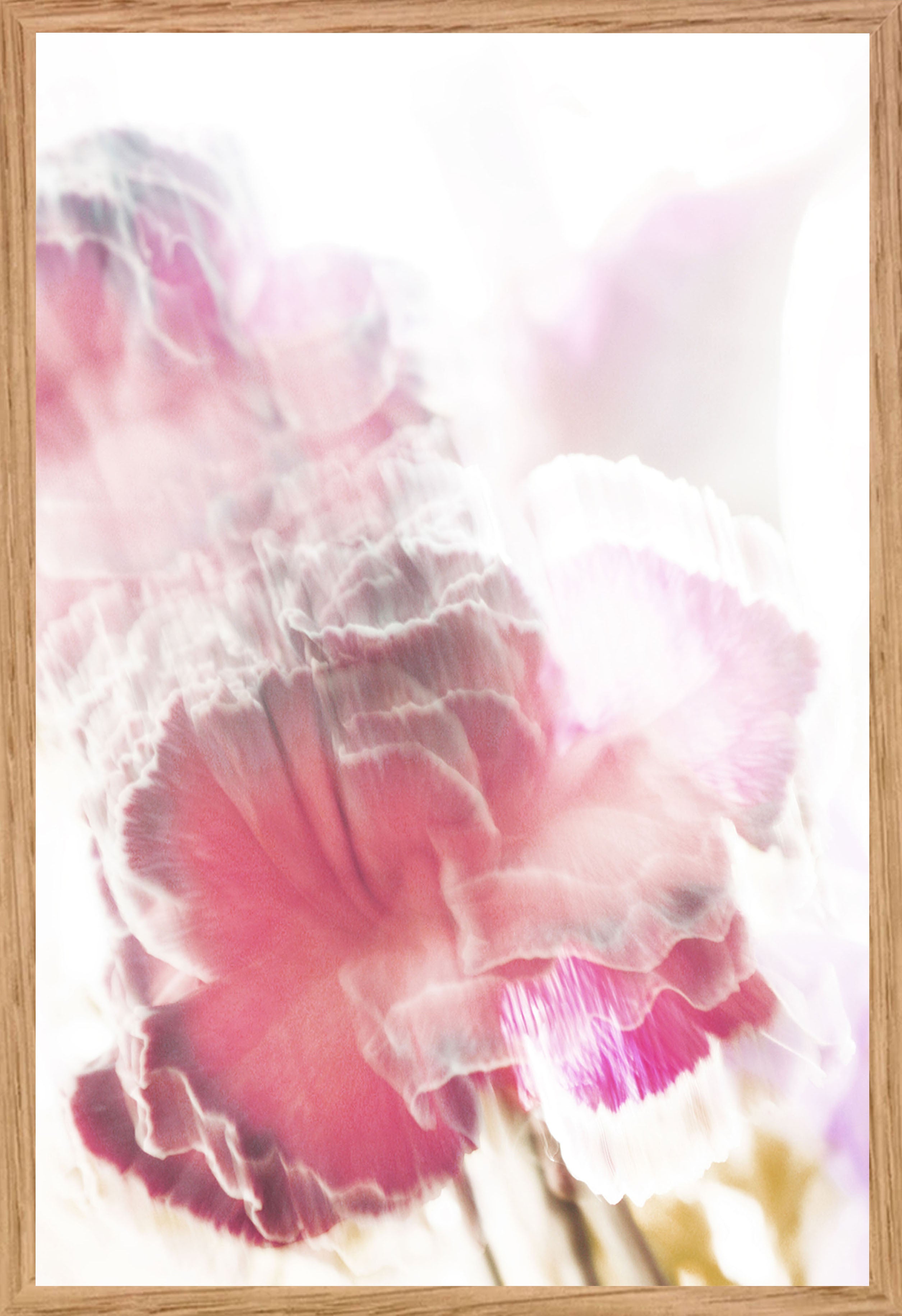Série « Flower » #2 - Sophie Tolachides