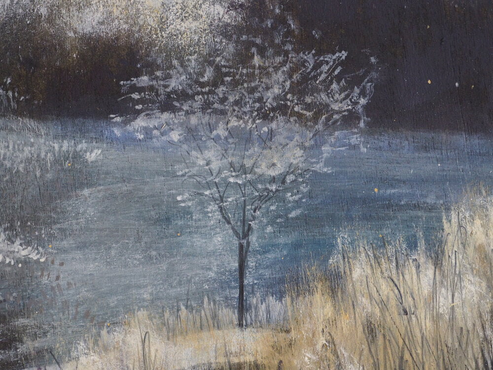Premières neiges - Florence Penicaud