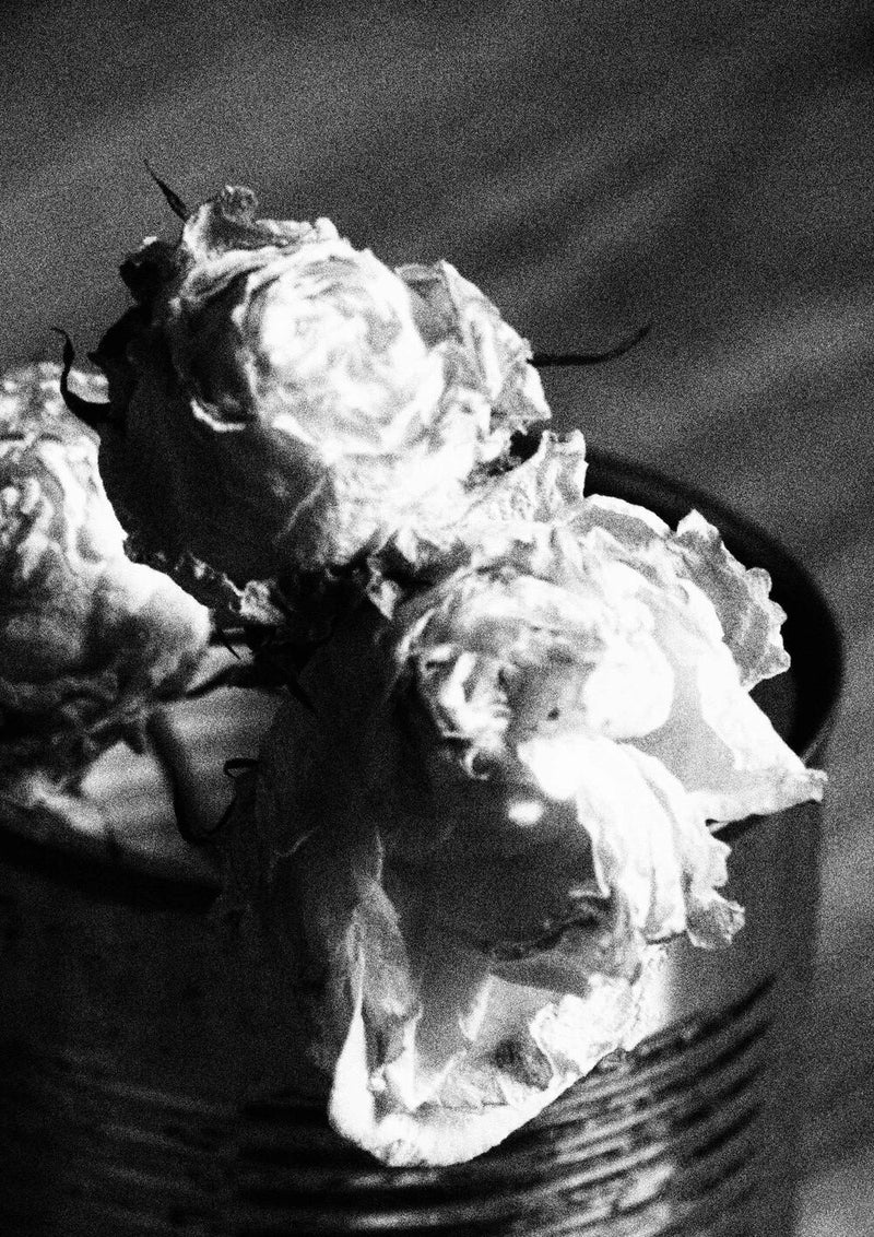 Dark roses II - Esther