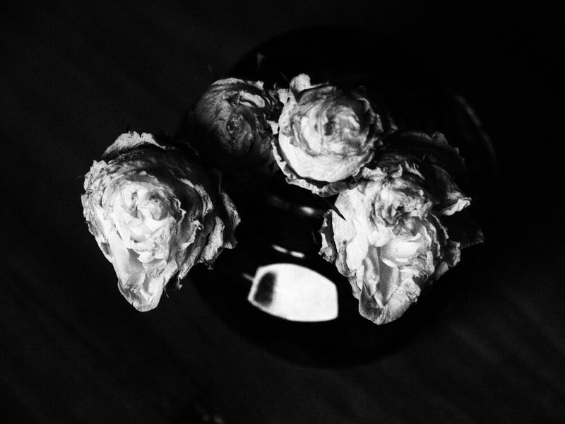 Dark Roses I - Esther