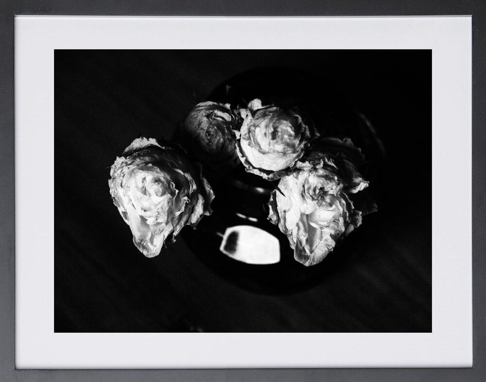 Dark Roses I - Esther