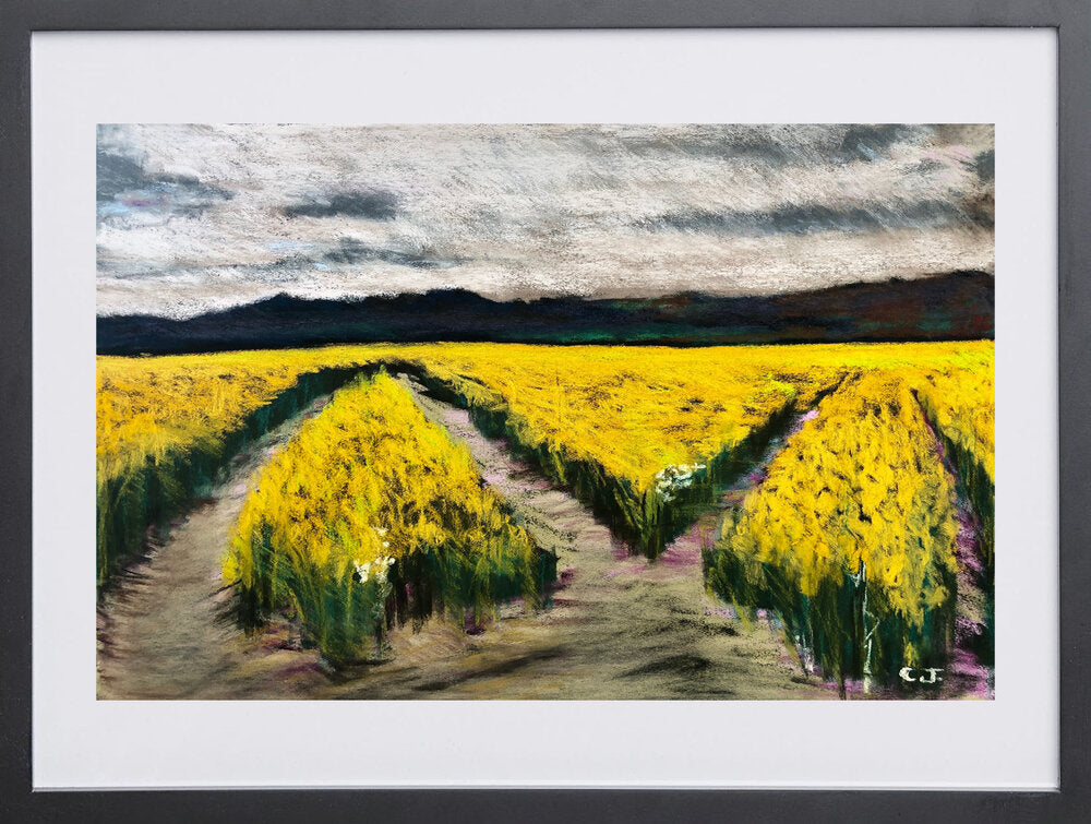 The fields - Caroline Jardin